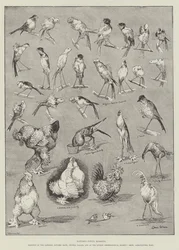 Momentos caprichosos de la naturaleza